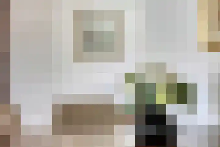 Bourgondiëlaan 6 Oldenzaal thumbnail 16
