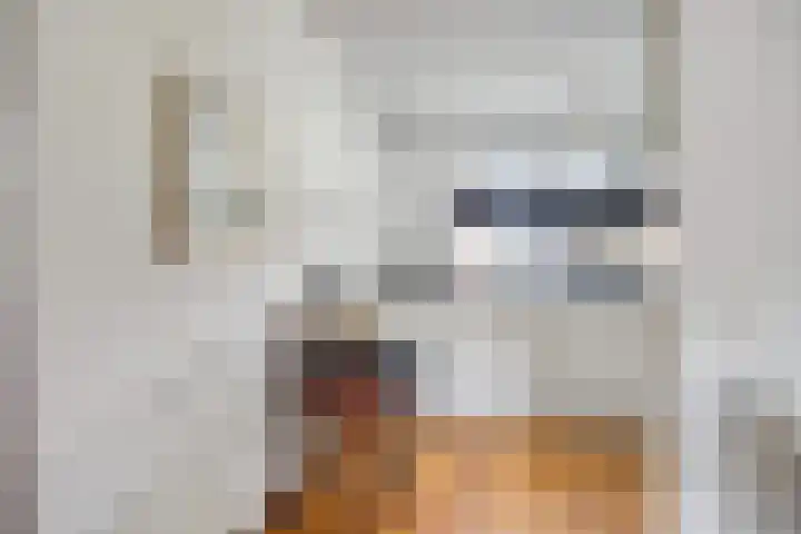 Bourgondiëlaan 6 Oldenzaal thumbnail 17