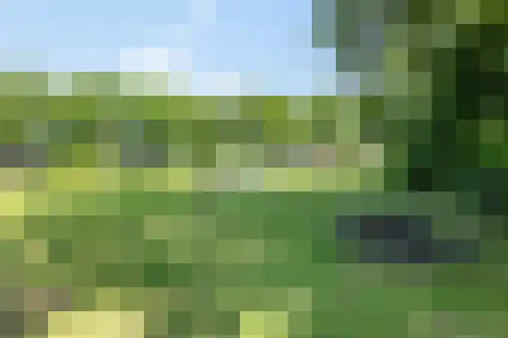 Bourgondiëlaan 6 Oldenzaal thumbnail 38