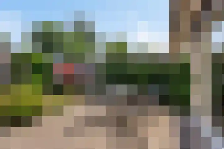 Bourgondiëlaan 6 Oldenzaal thumbnail 4