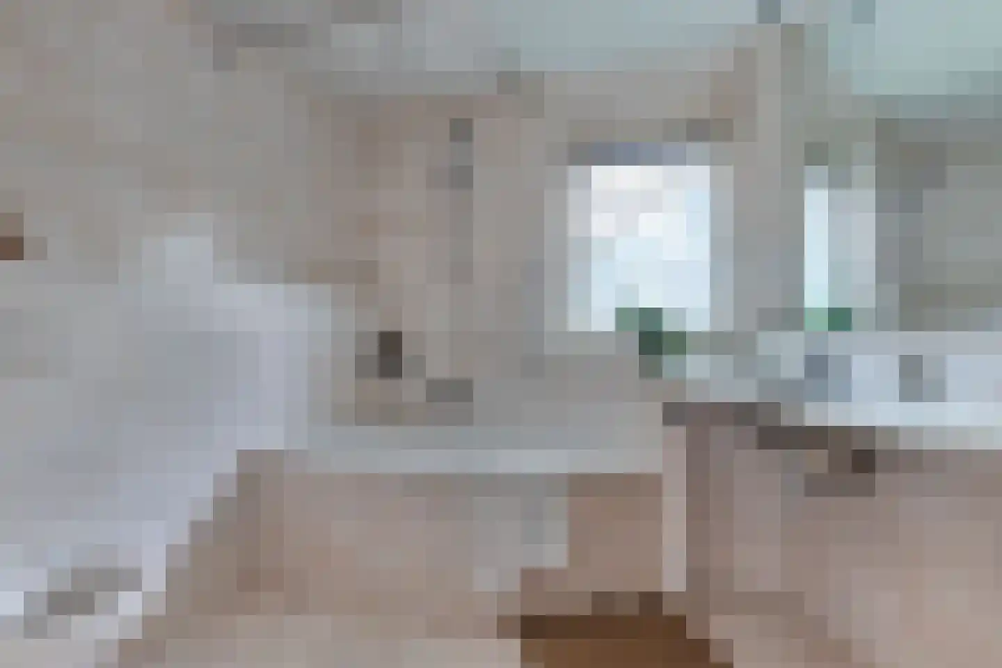 Bourgondiëstraat 21 Emmeloord thumbnail 32