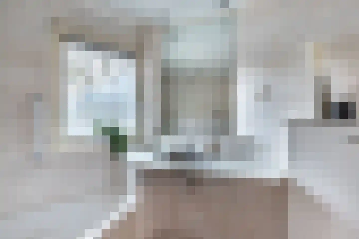 Bourgondiëstraat 21 Emmeloord thumbnail 33