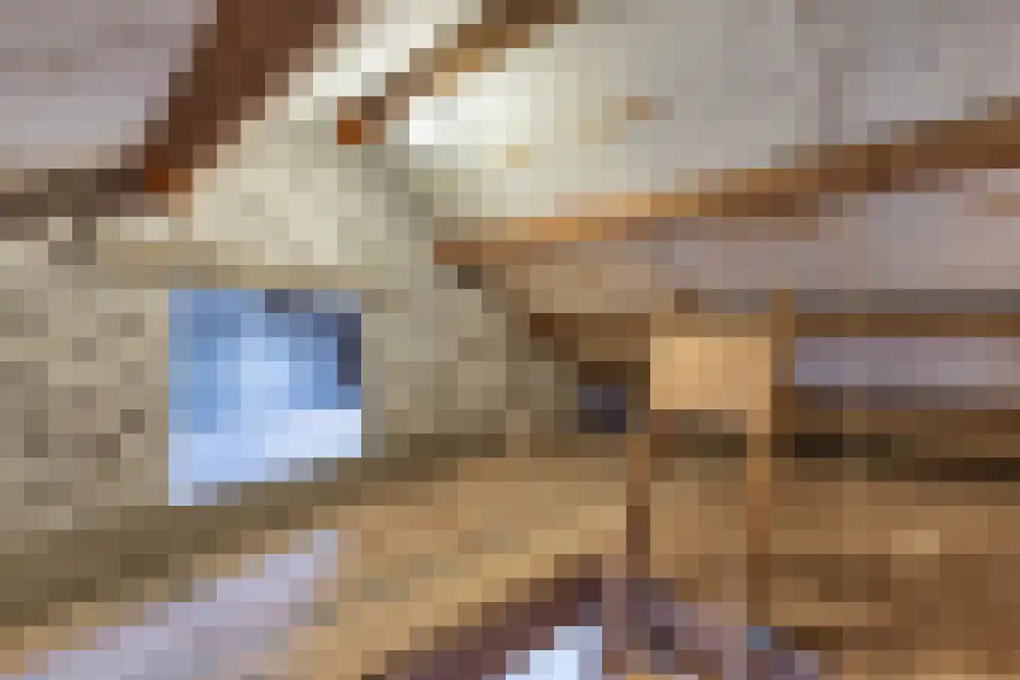Bourgondiëstraat 21 Emmeloord thumbnail 35