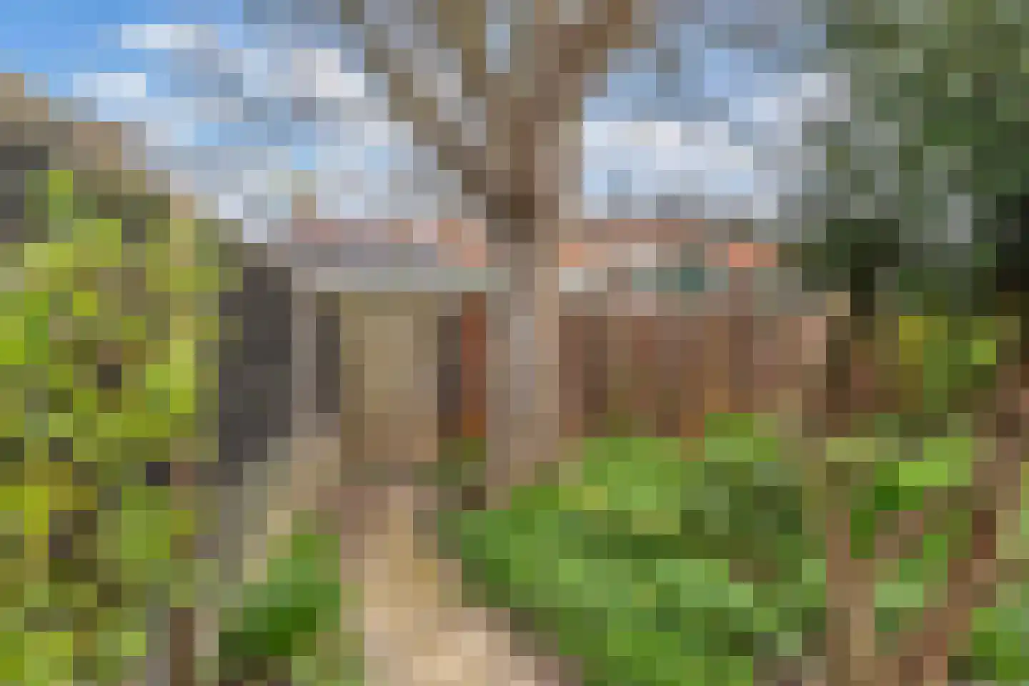 Bourgondiëstraat 21 Emmeloord thumbnail 38