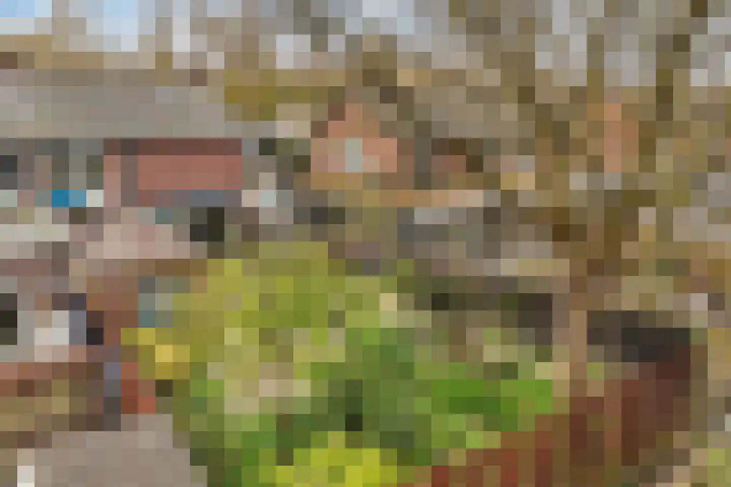 Bourgondiëstraat 21 Emmeloord thumbnail 43
