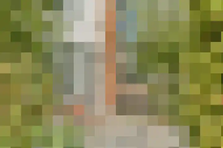 Bourgondischelaan 17 Amstelveen thumbnail 32