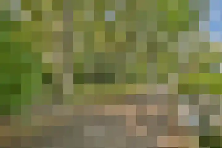 Bourgondischelaan 17 Amstelveen thumbnail 35