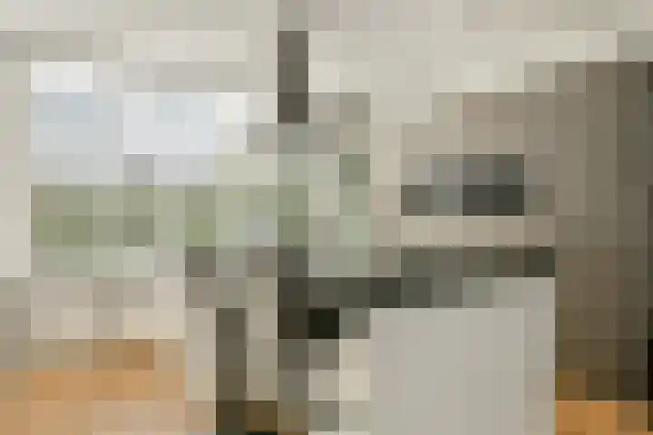 Bourgondischelaan 17 Amstelveen thumbnail 9