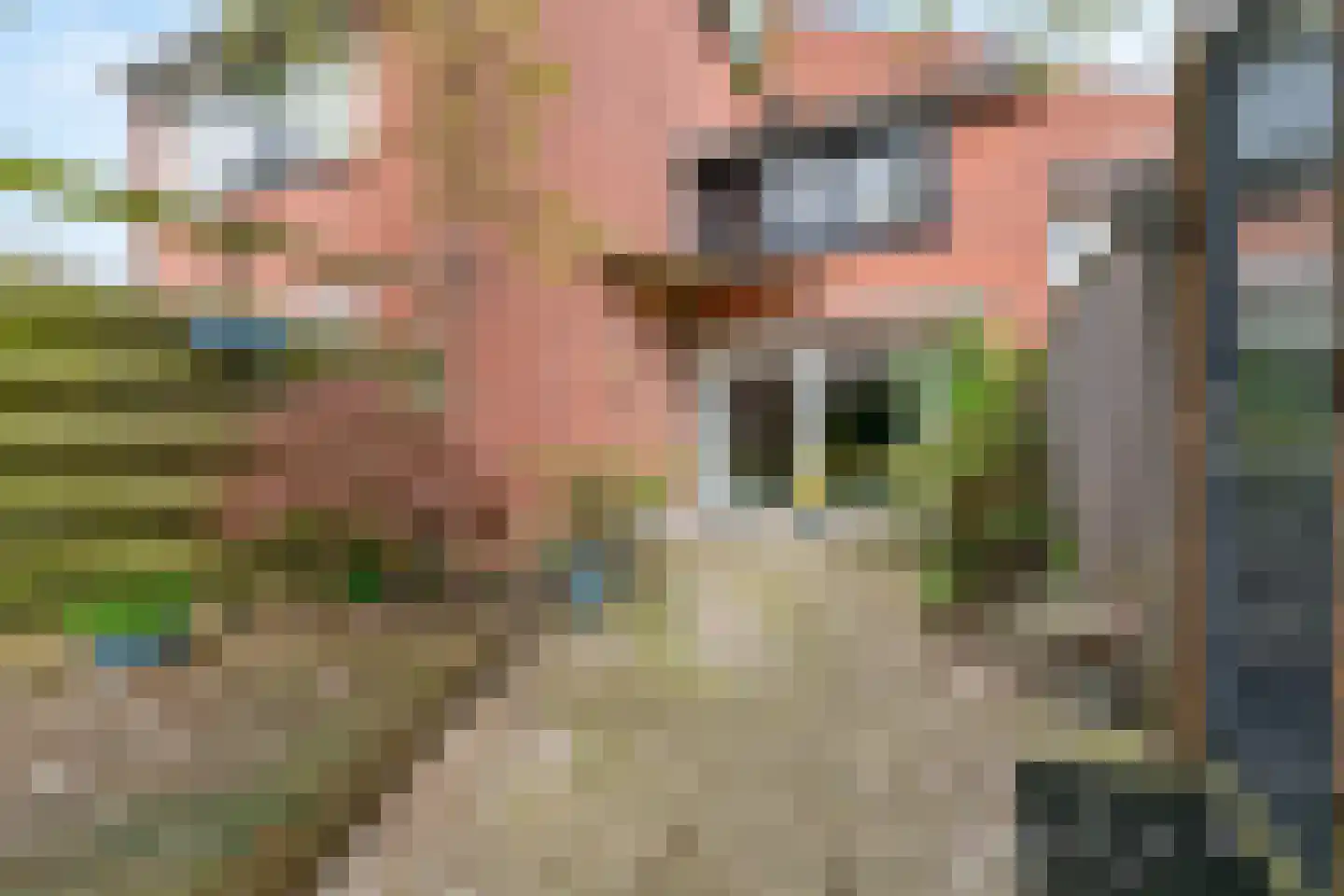 Bourgondischelaan 23 Bodegraven thumbnail 26