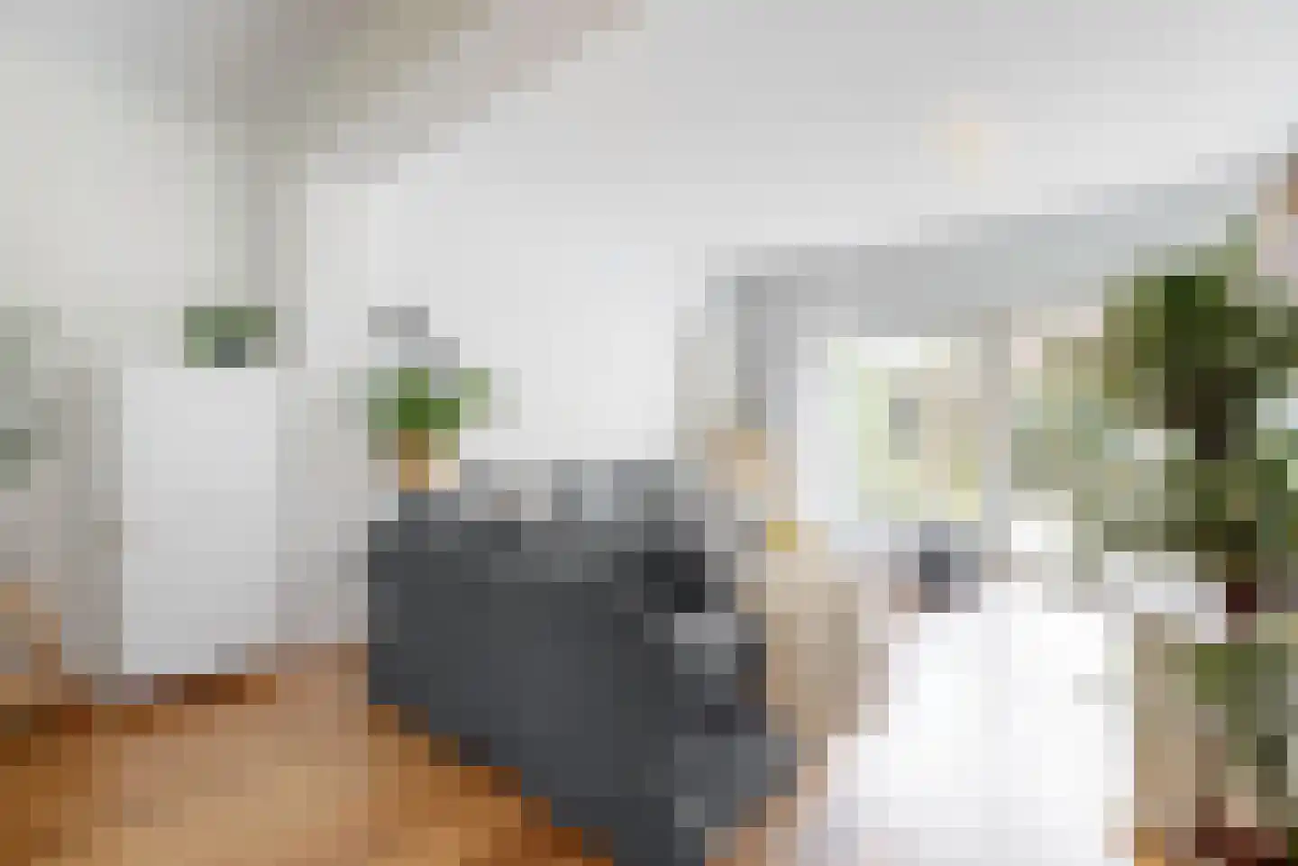 Bourgondischelaan 23 Bodegraven thumbnail 6