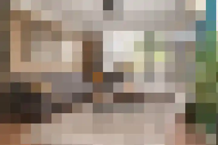 Bourgondischestraat 9 Grave thumbnail 7