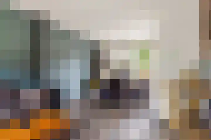 Bouriciuslaan 15 Drachten thumbnail 10