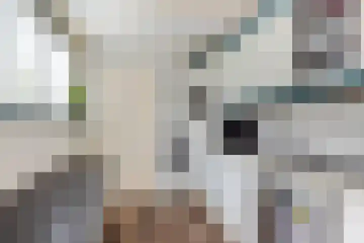 Bouriciuslaan 15 Drachten thumbnail 13