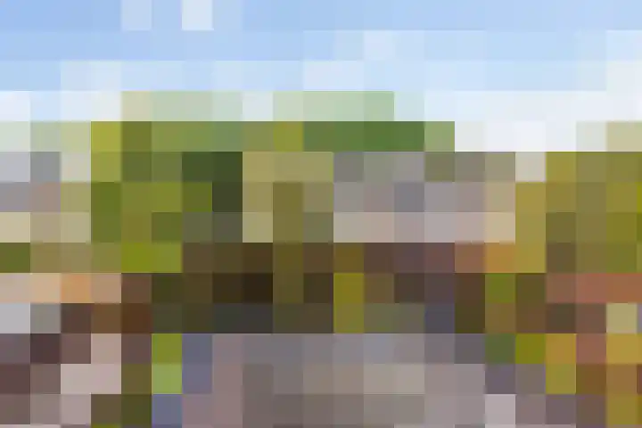 Bouriciuslaan 15 Drachten thumbnail 19