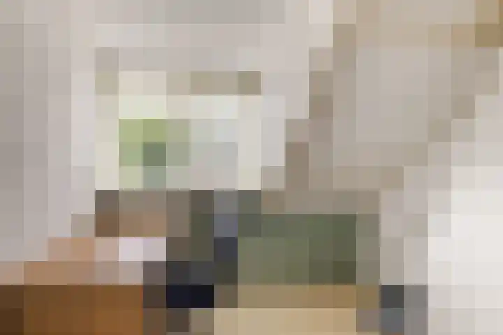 Bouriciuslaan 15 Drachten thumbnail 26