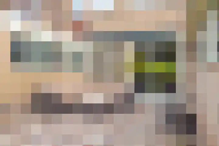 Bouriciuslaan 15 Drachten thumbnail 35