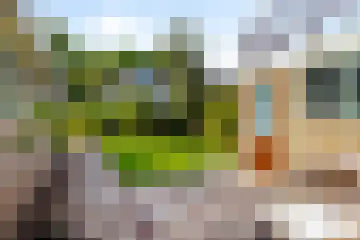 Bouriciuslaan 15 Drachten thumbnail 36