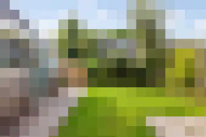Bouriciuslaan 15 Drachten thumbnail 37