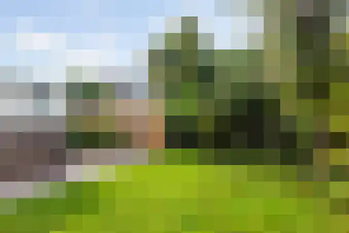 Bouriciuslaan 15 Drachten thumbnail 38