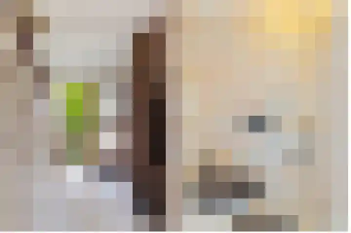 Bouriciuslaan 15 Drachten thumbnail 8