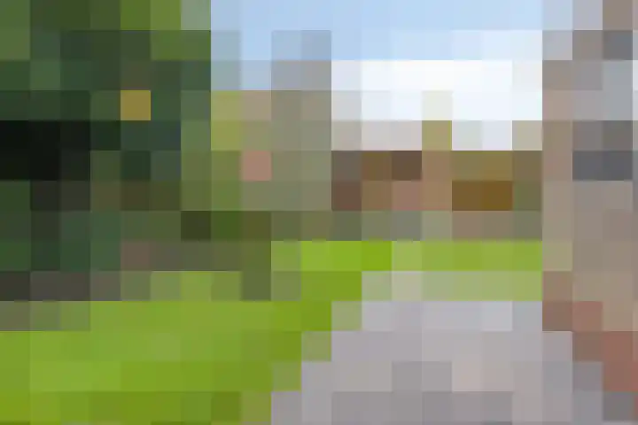 Bouriciuslaan 38 Drachten thumbnail 25