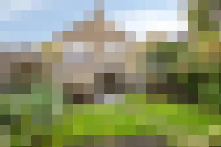Bouriciuslaan 38 Drachten thumbnail 26