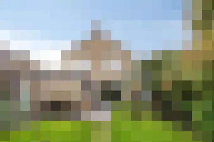 Bouriciuslaan 38 Drachten thumbnail 27