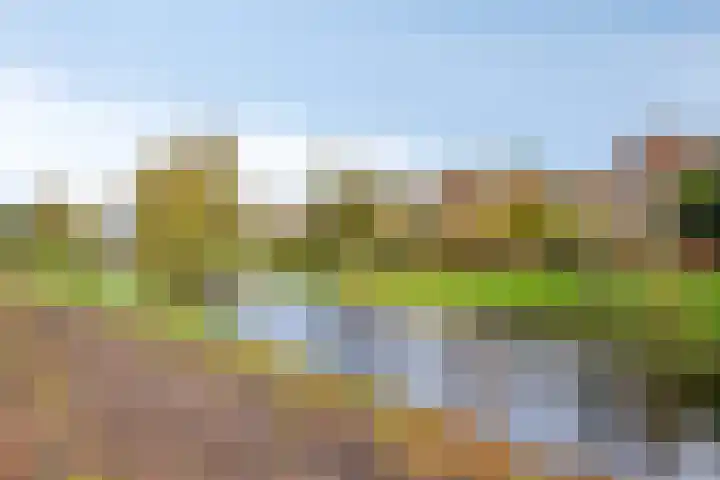 Bouriciuslaan 38 Drachten thumbnail 29
