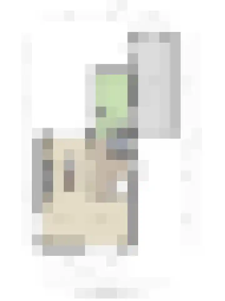 Bouriciuslaan 38 Drachten thumbnail 31