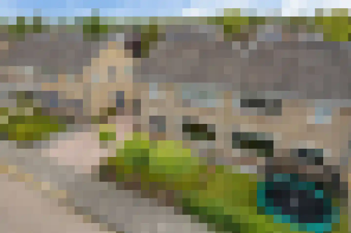 Bouriciuslaan 54 Drachten thumbnail 48