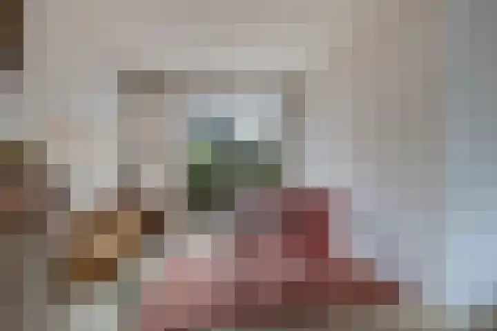 Bouriciuslaan 7 Drachten thumbnail 14