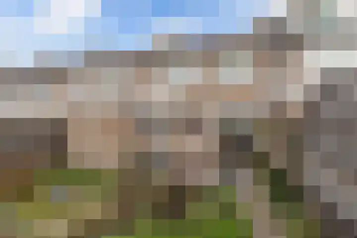 Bouriciuslaan 7 Drachten thumbnail 32