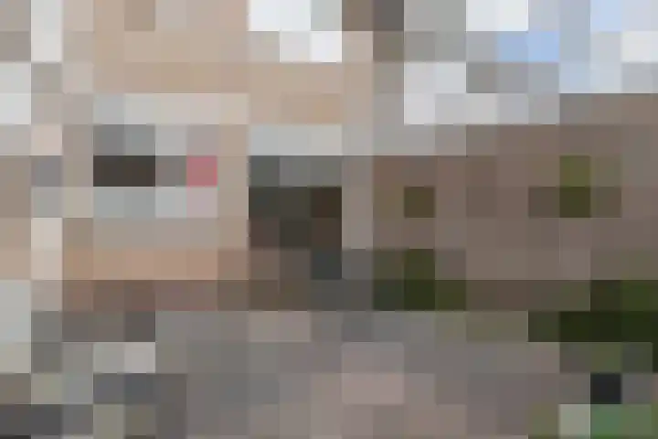 Bouriciuslaan 7 Drachten thumbnail 33