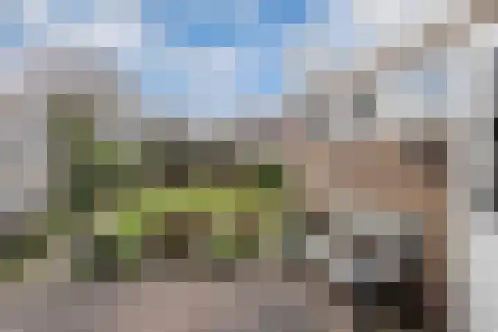 Bouriciuslaan 7 Drachten thumbnail 35