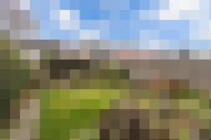 Bouriciuslaan 7 Drachten thumbnail 36
