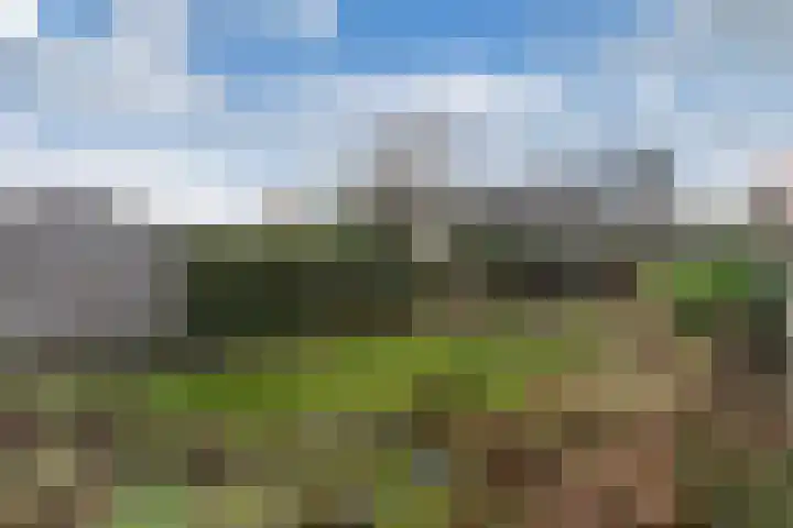 Bouriciuslaan 7 Drachten thumbnail 37