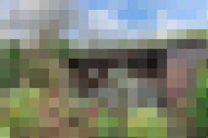 Bouriciuslaan 7 Drachten thumbnail 38