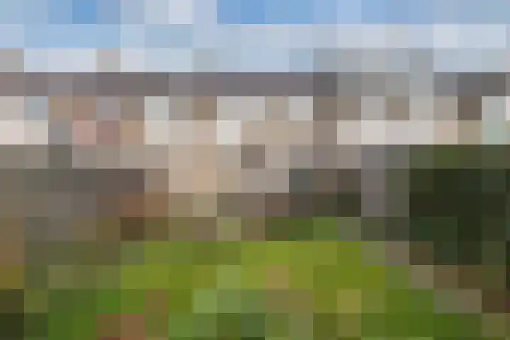 Bouriciuslaan 7 Drachten thumbnail 40