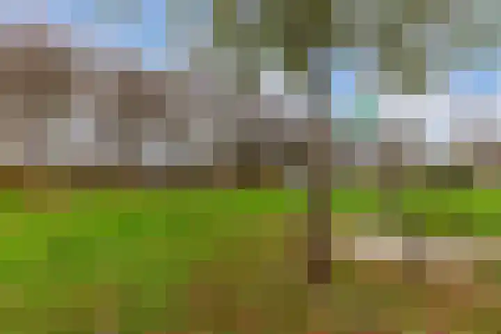 Bouriciuslaan 7 Drachten thumbnail 45