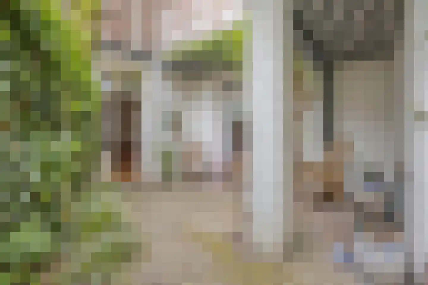 Bouriciusstraat 21 Arnhem thumbnail 55