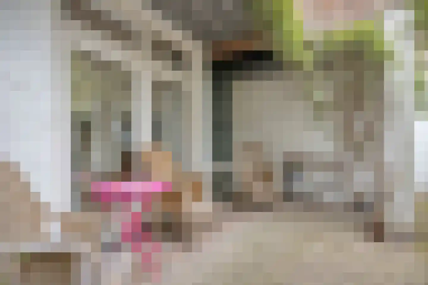 Bouriciusstraat 21 Arnhem thumbnail 57