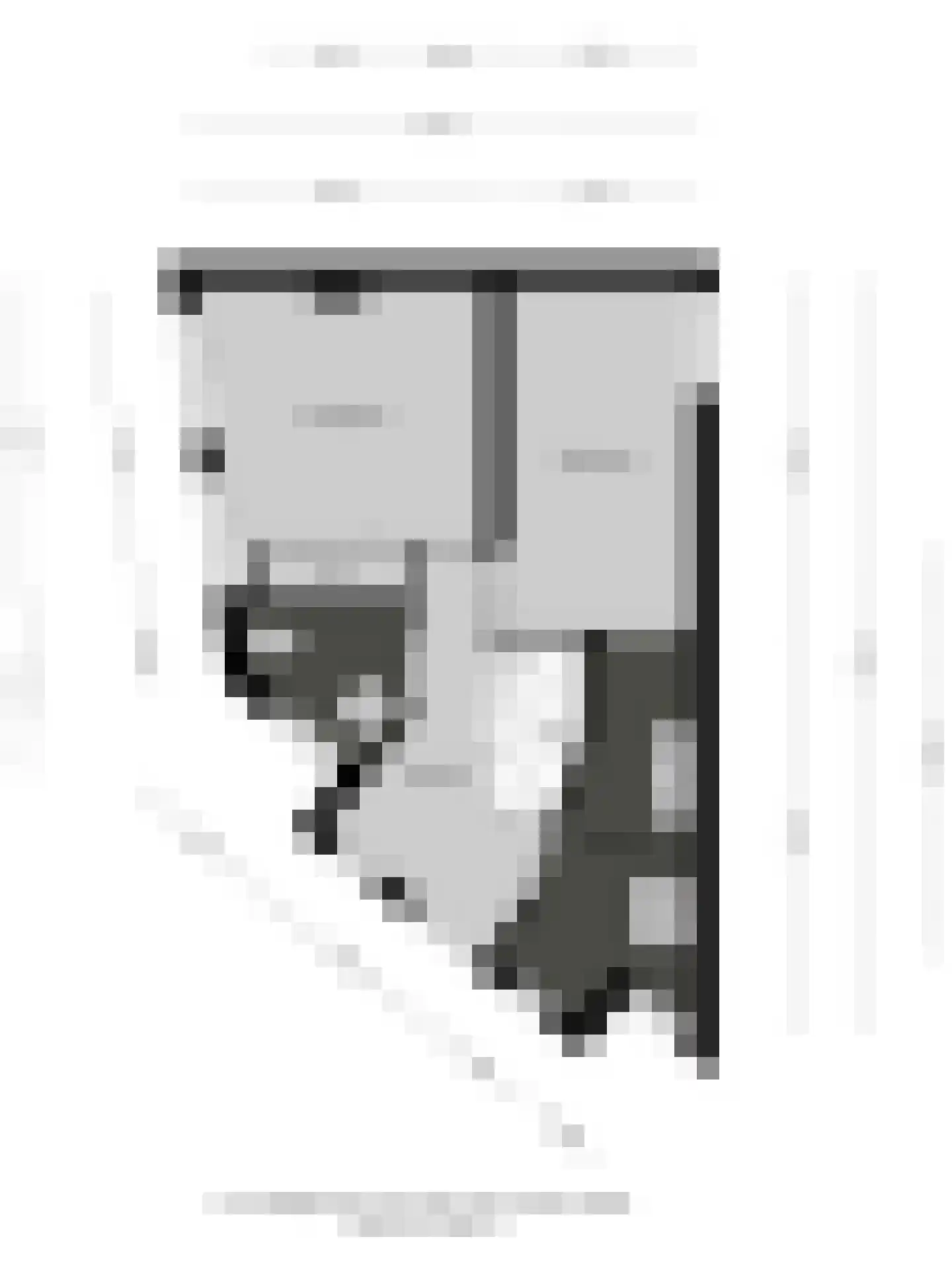 Bouriciusstraat 21 Arnhem thumbnail 69