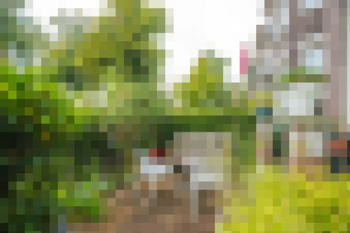Bouriciusstraat 8 Arnhem thumbnail 8