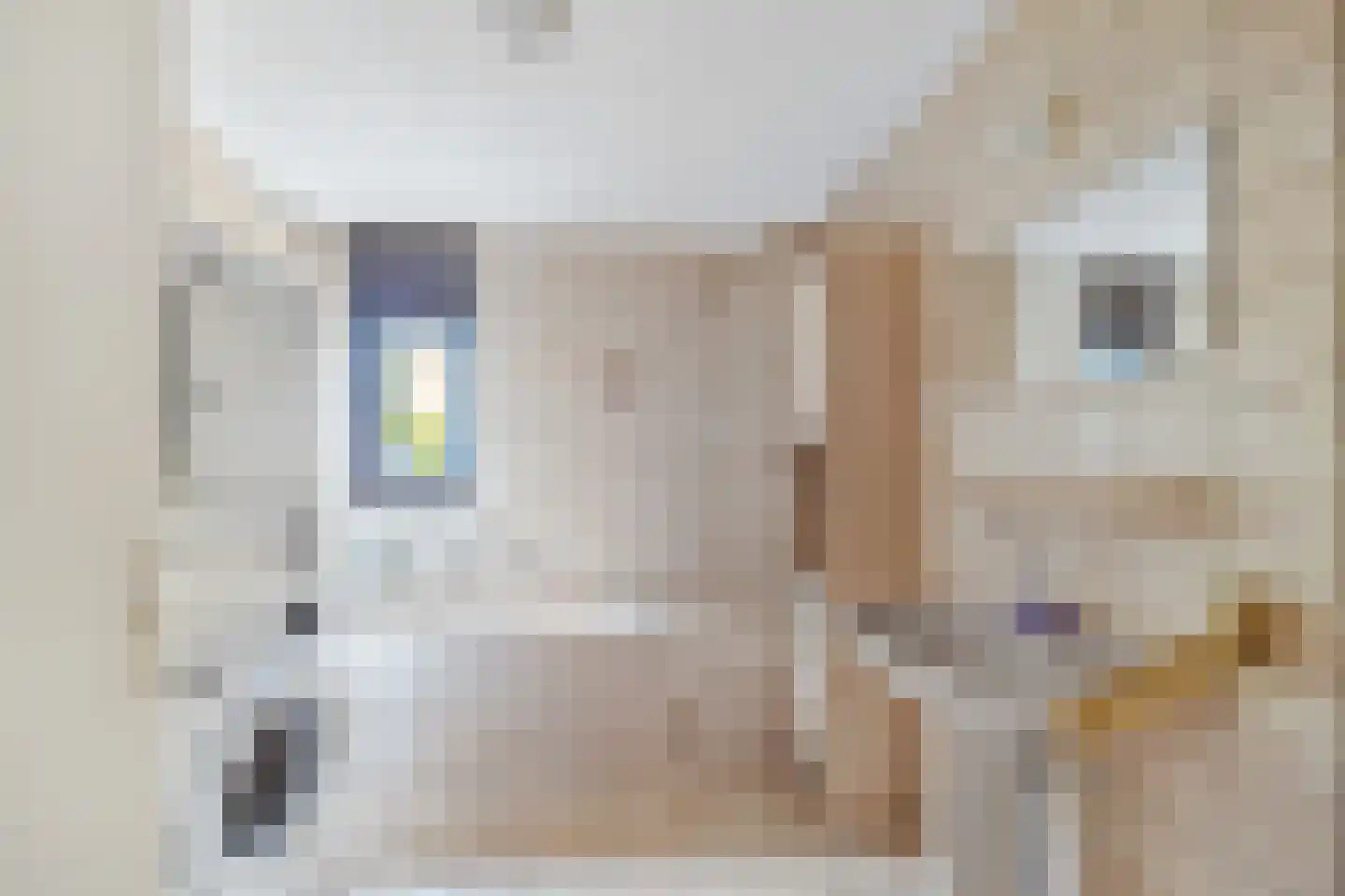 Bous de Jongpark 49 Rijswijk thumbnail 22