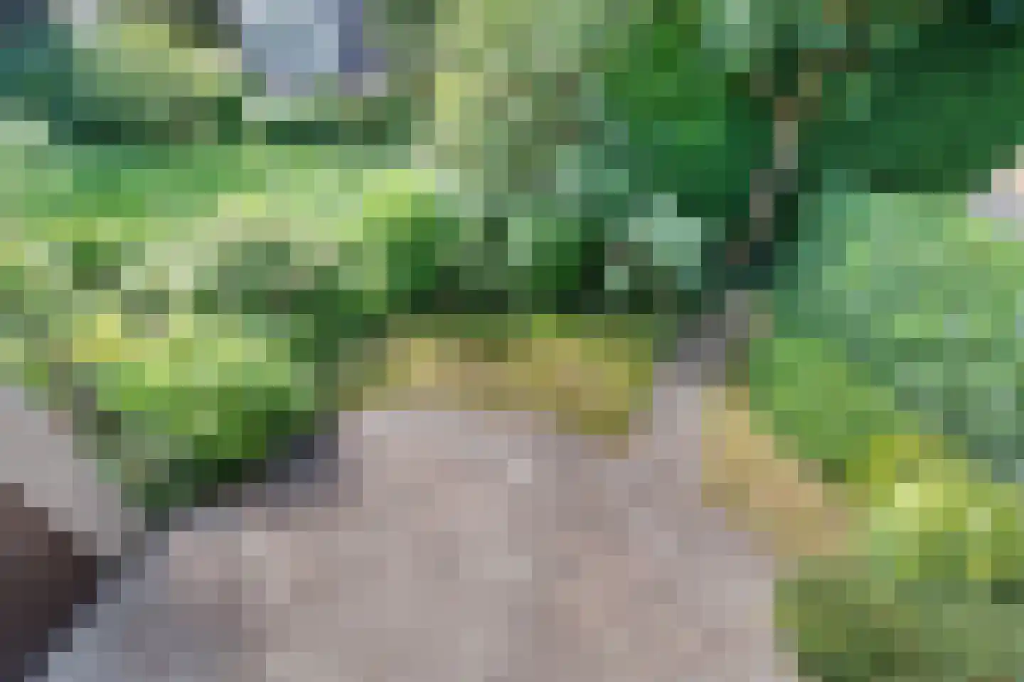Bous de Jongpark 49 Rijswijk thumbnail 26