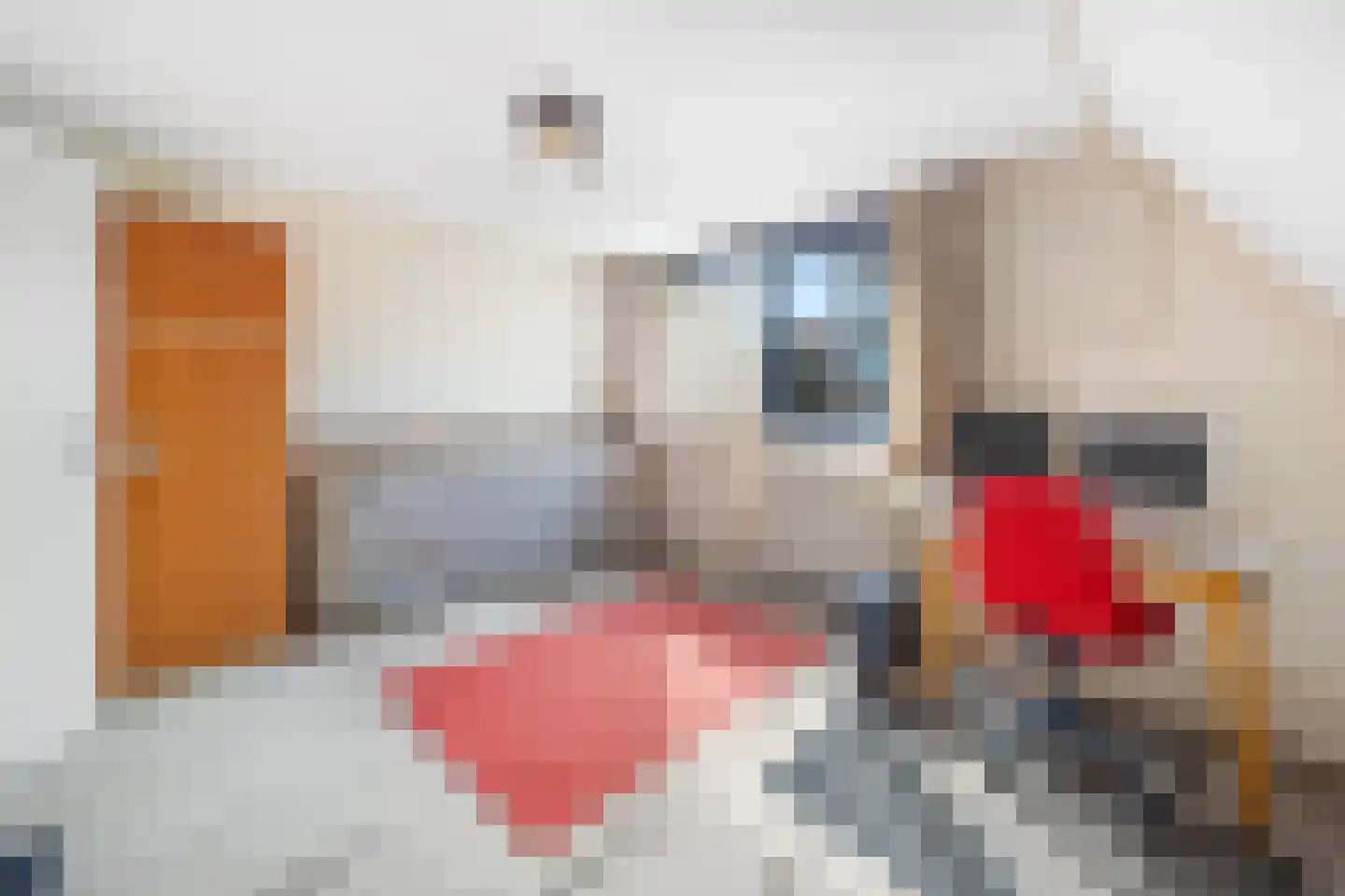 Bous de Jongpark 49 Rijswijk thumbnail 32