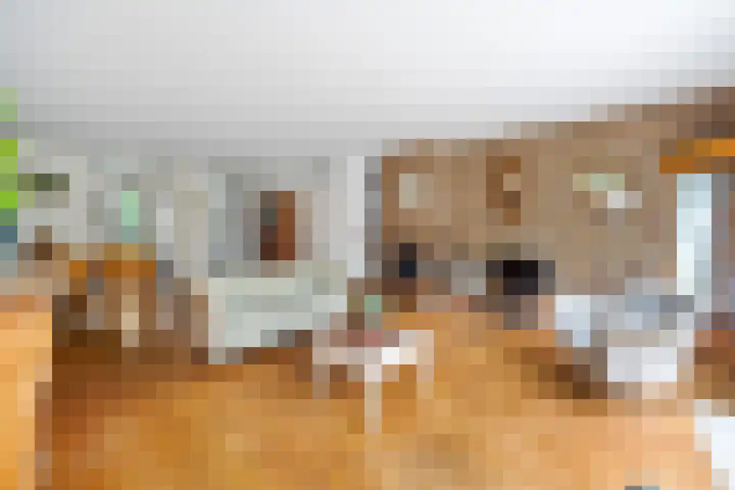 Bous de Jongpark 49 Rijswijk thumbnail 9