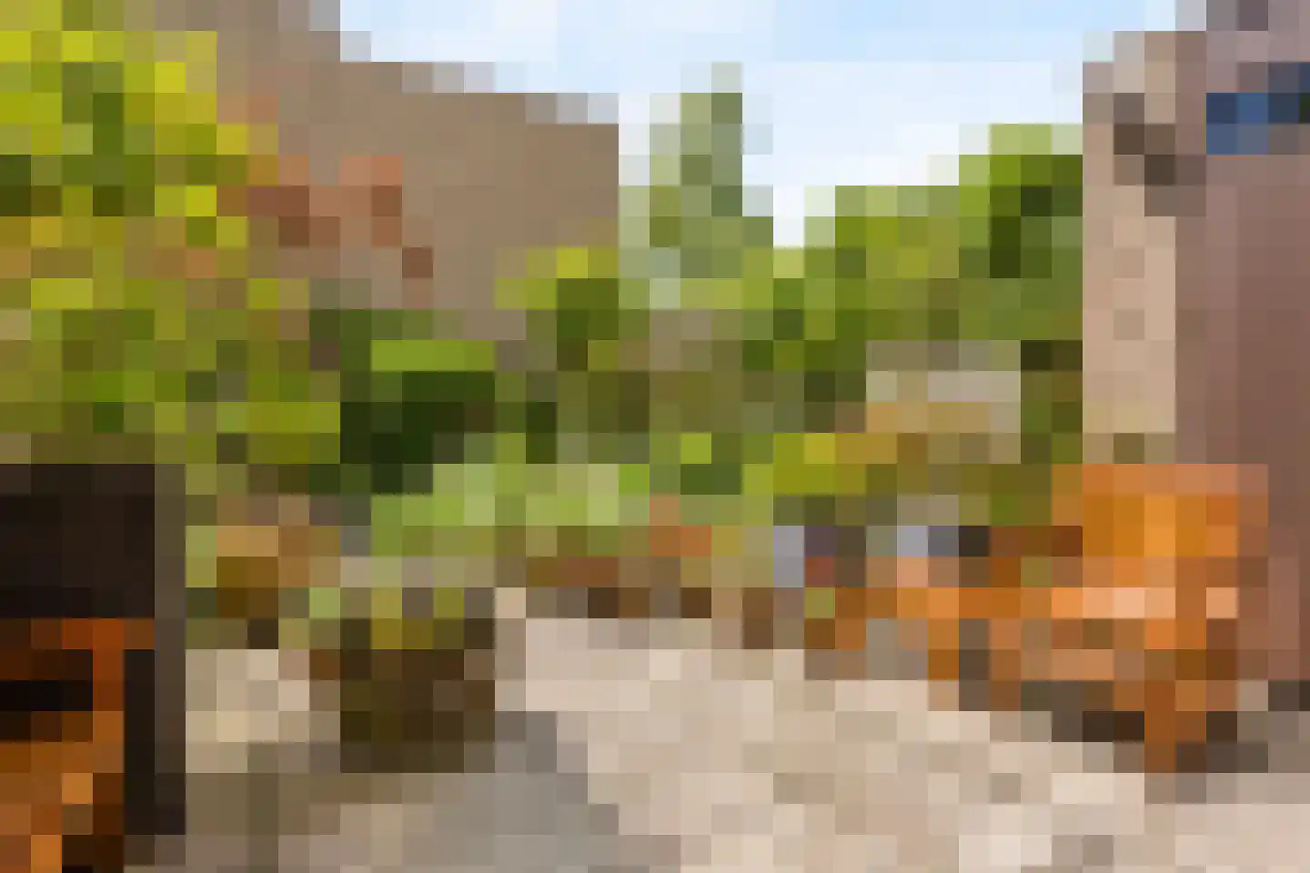 Bous de Jongpark 57 Rijswijk thumbnail 10