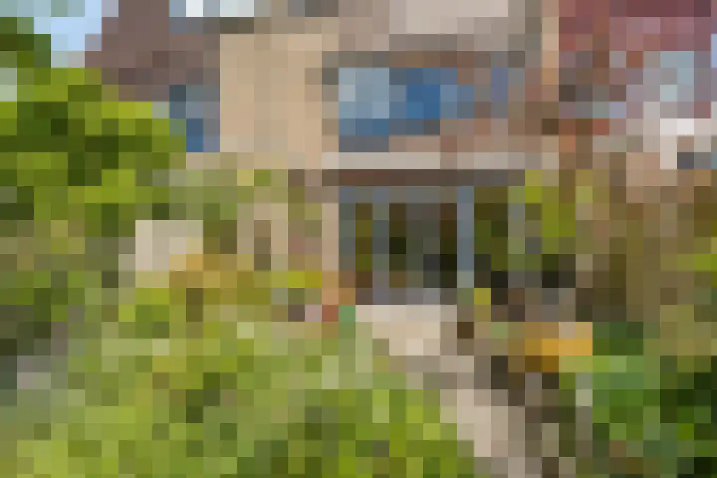Bous de Jongpark 57 Rijswijk thumbnail 11