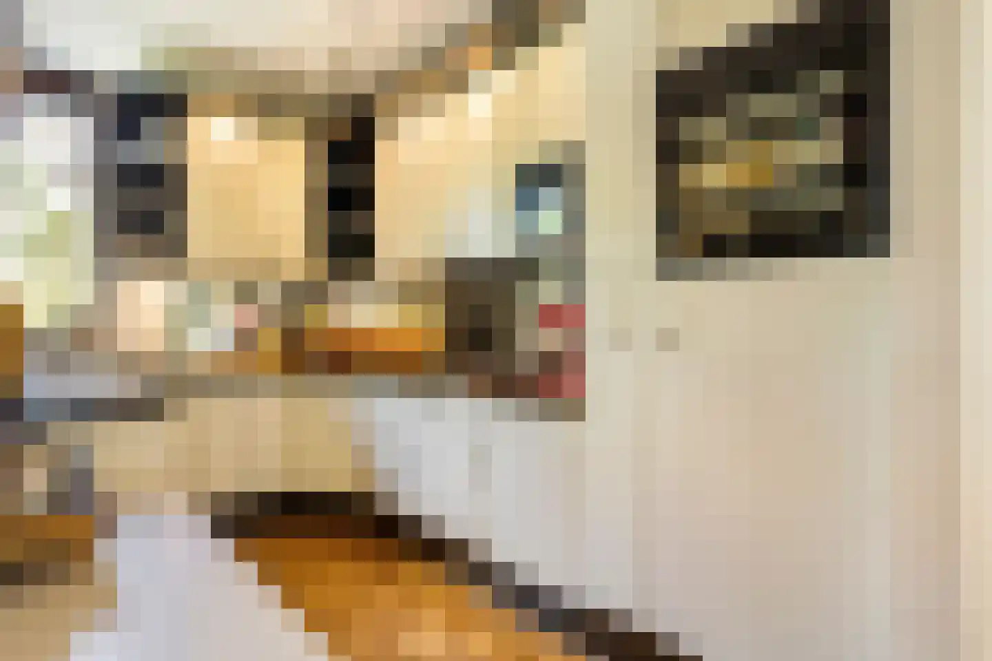 Bous de Jongpark 57 Rijswijk thumbnail 18